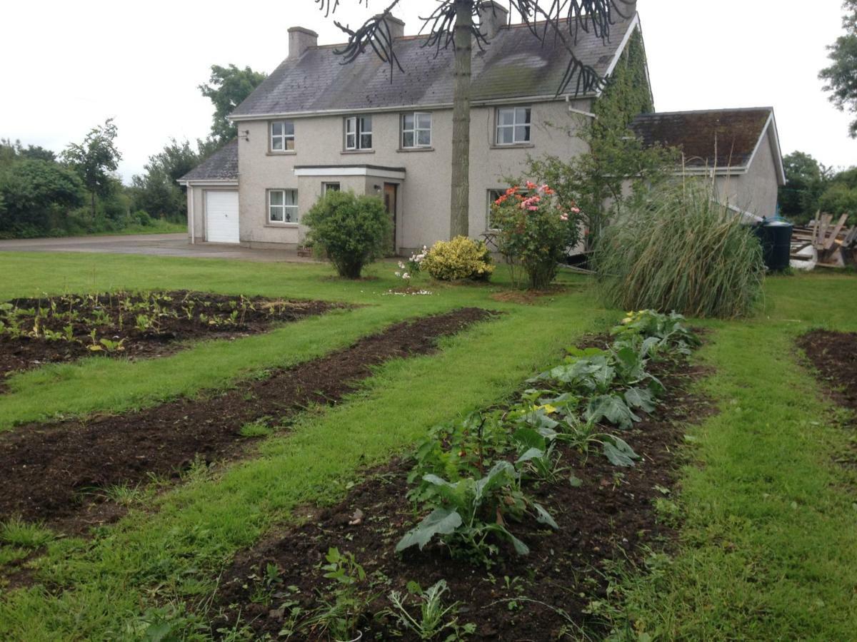 Lisieux House On Lough Neagh Bed & Breakfast Aghalee Exterior photo