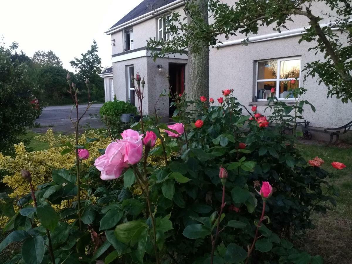 Lisieux House On Lough Neagh Bed & Breakfast Aghalee Exterior photo